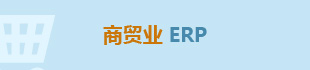 联道M5_商贸业ERP