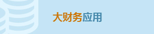 联道M5_大财务管理